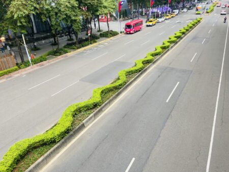 板橋新站路草花海棠妝點街景。圖／新北市政府