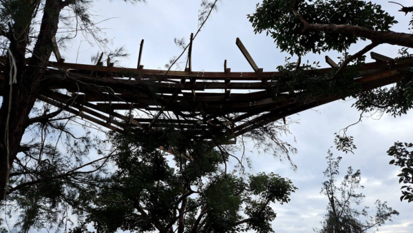 臺東森林公園《林中懸亭》國產材創意應用與教育共創發表。發布單位：農業處林務科