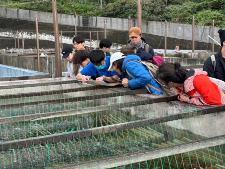 冬季限定！逗陣來貢寮海洋資源復育園區看九孔寶寶。圖／新北市政府漁業及漁港事業管理處