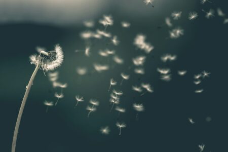 寒流逐漸減弱，北部及東北部天氣仍寒冷。圖／Unsplash.com