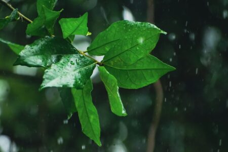 今日大雨特報極寒提醒。圖／Unsplash.com