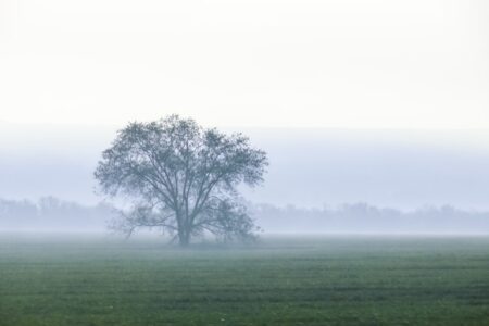 今天氣溫下降。圖／Unsplash.com
