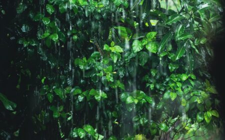 晨東南部地區仍有局部較大雨勢發生的機率。 圖／ Anik Deb Nath