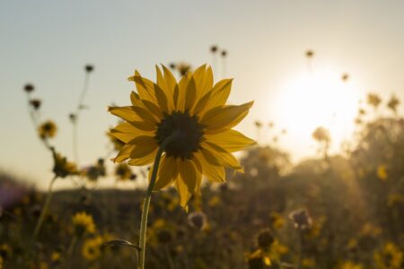 強勁的大陸冷氣團逐漸減弱，氣溫稍有回升。圖／Unsplash.com