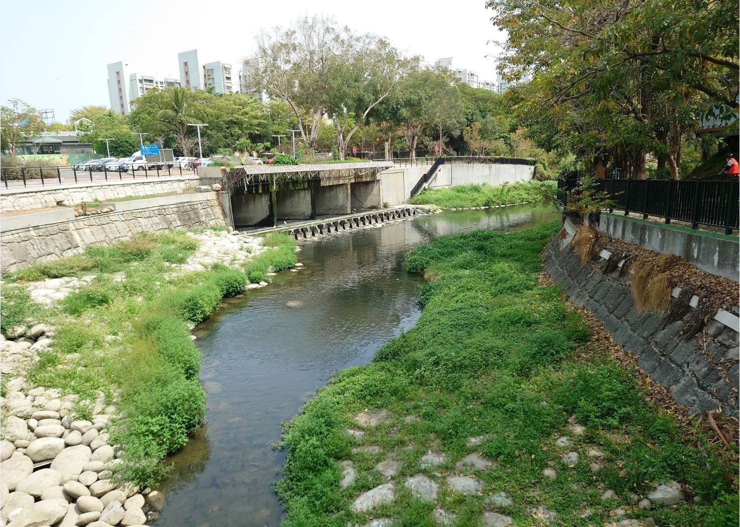 台南市的竹溪積極推動「築夢之溪」親水綠廊計畫