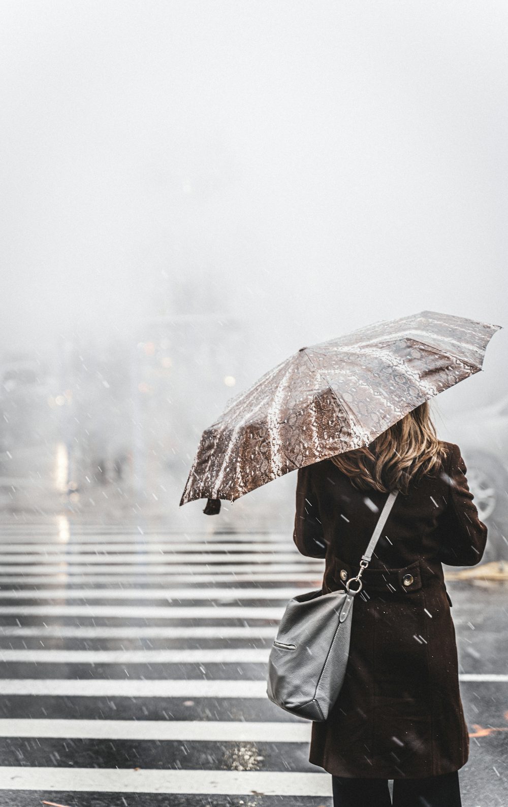 天氣＞受鋒面影響，今有局部短暫的陣雨或雷雨