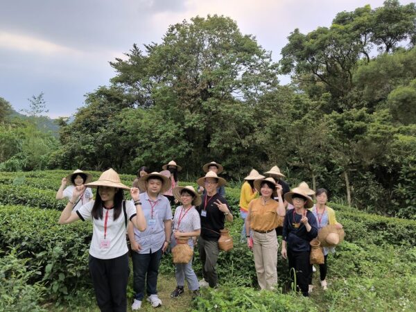 在一起體驗採茶與製茶過程中。圖／南港區公所