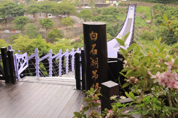白石湖社區迎來賞花盛宴：鐵砲百合花綻放天使之境 - https://www.watchmedia01.com