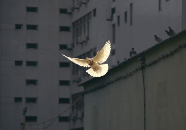 儘管天氣趨於穩定，外出前仍建議查看雷達回波，以獲取即時天氣資訊。圖／unsplash.com