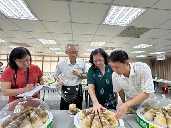 ▲農改場、新北市府、市農會等單位專家學者以專業角度進行「梨仔筍」選美評選。