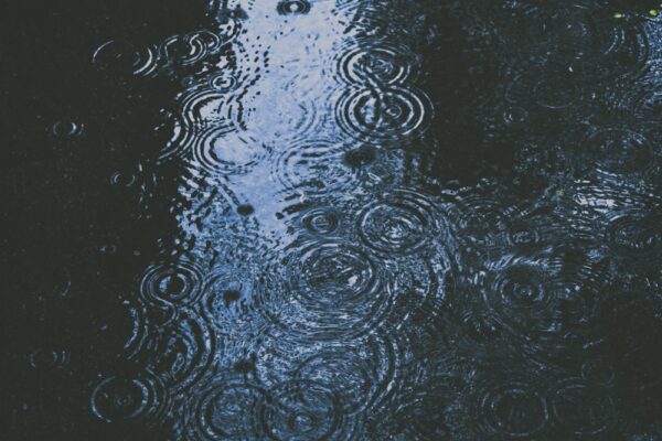 西半部地區在清晨至上午有零星短暫陣雨。圖/unsplash.com